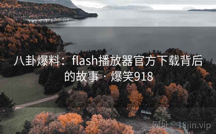八卦爆料：flash播放器官方下载背后的故事 · 爆笑918