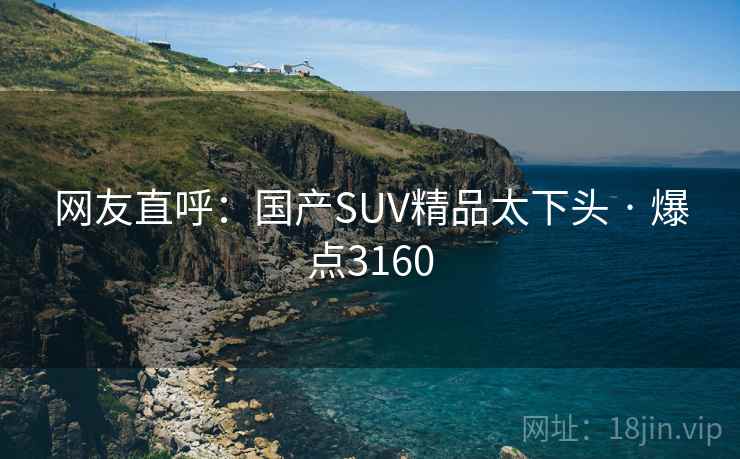 网友直呼:国产SUV精品太下头 · 爆点3160 网友直呼:国产SUV精品太下头 · 爆点3160